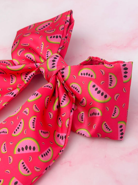 Watermelon Sugar - Watermelon print Satin long Hair Bow